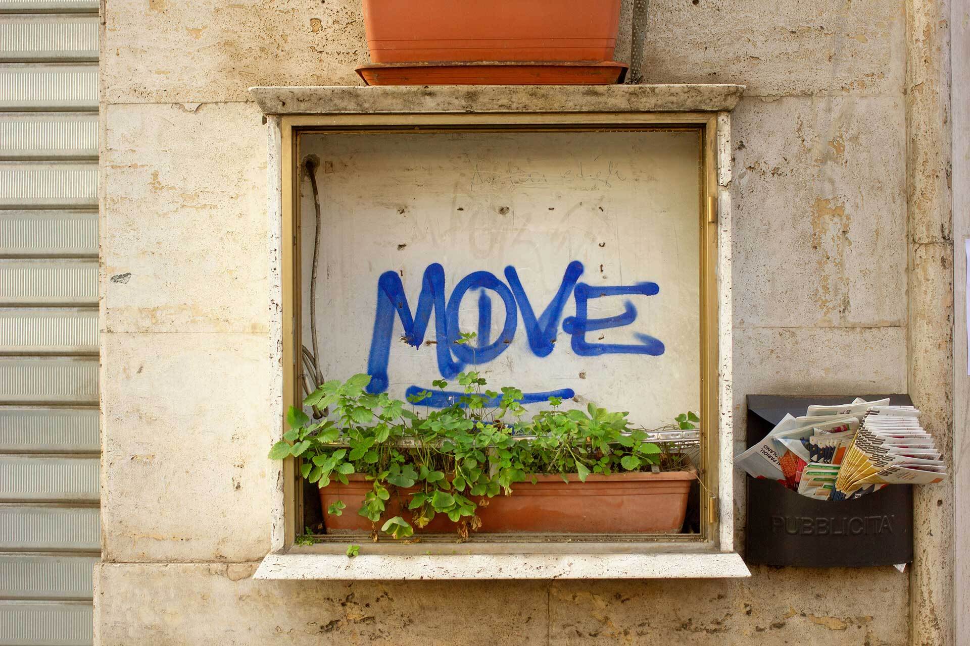 Move-In / Move-Out Cleaning